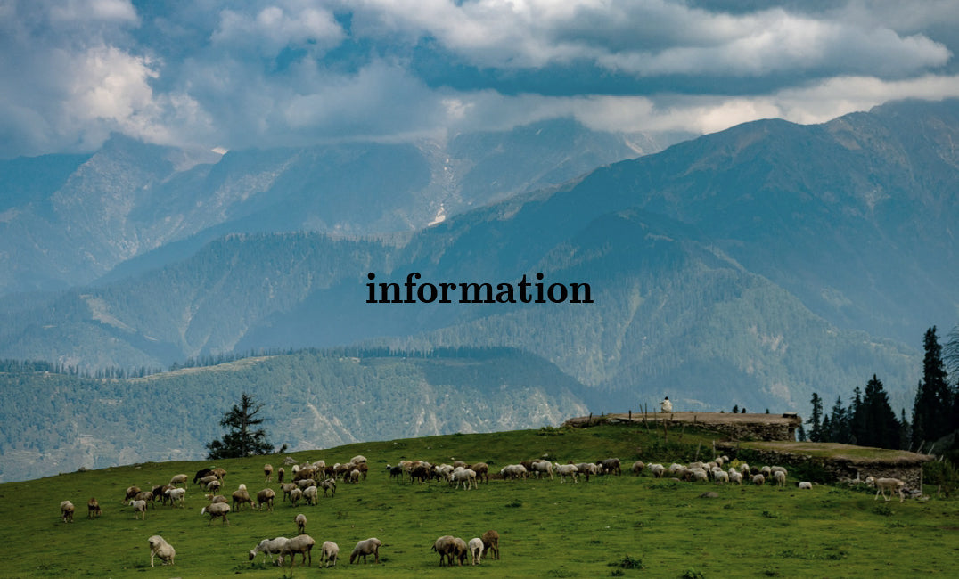 価格改定のお知らせ